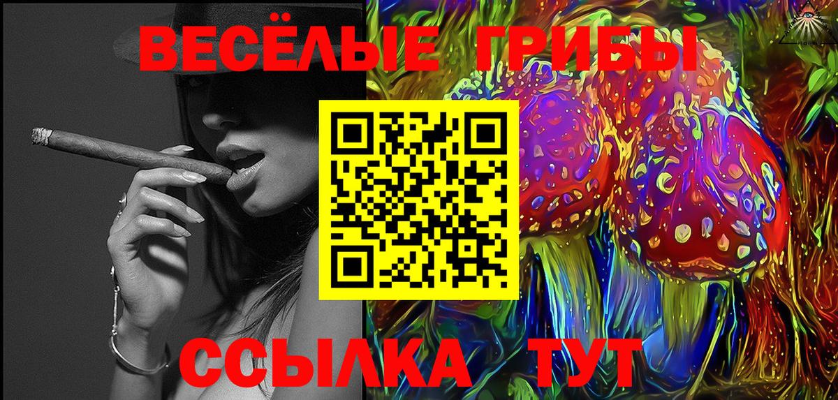 Видное  Псилоцибиновые грибы GOLDEN TEACHER  Галлюциногенные грибы Cubensis  Вход с VPN 